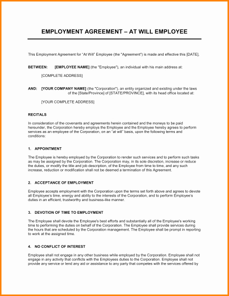 Salary Agreement Letter Lovely 9 Salary Contract Template