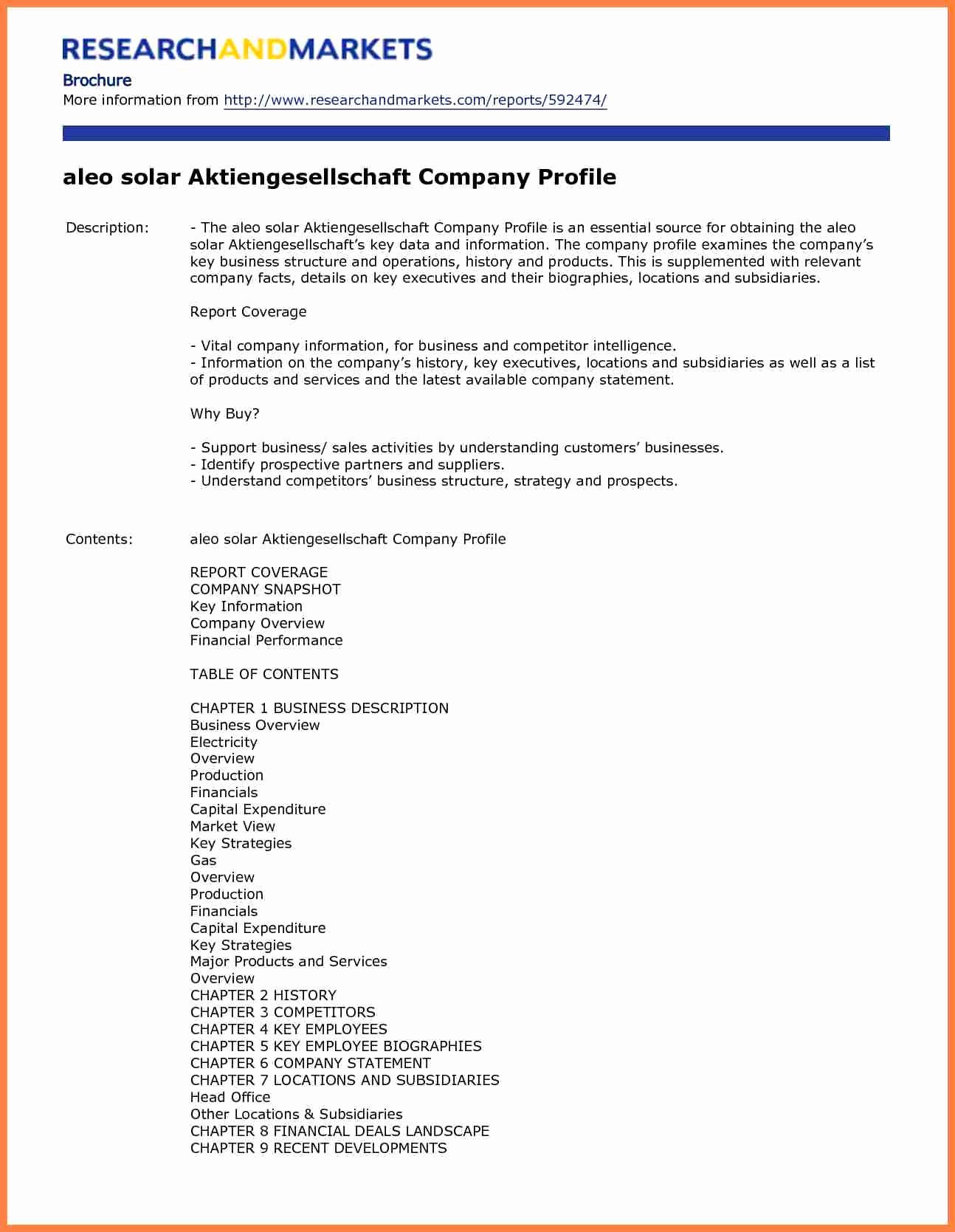 Sales Customer Profile Template Awesome 3 Sample Pany Profile format In Word