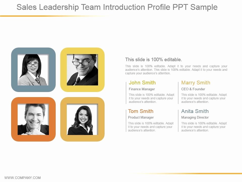 Sales Customer Profile Template Beautiful Sales Leadership Team Introduction Profile Ppt Sample