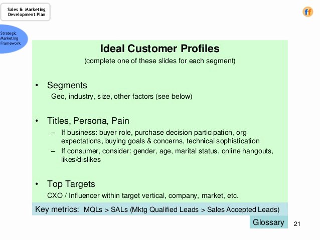 Sales Customer Profile Template Best Of Sales &amp; Marketing Development Plan A Template for the Cro