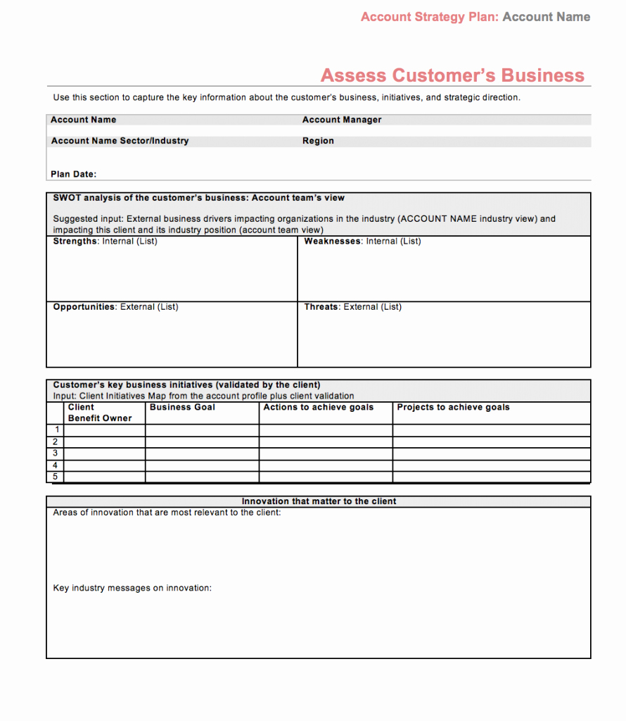 Sales Customer Profile Template Lovely Strategic Account Plan Template assess Customers