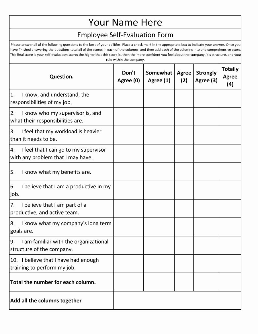 Sales Performance Appraisal form Beautiful Employee Self Evaluation form