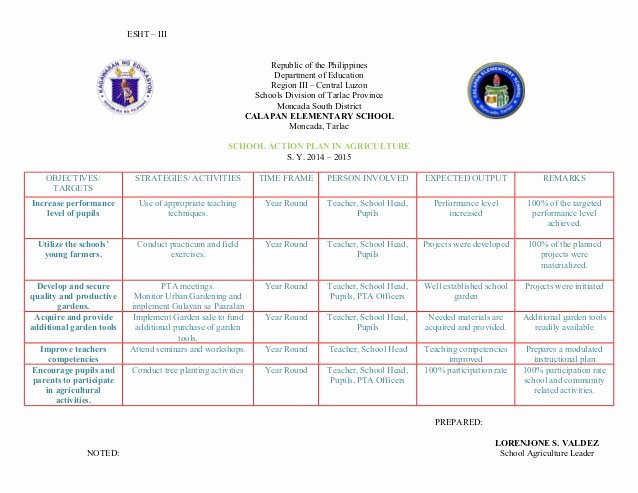 Sample Action Plan for Teachers Inspirational Individual Work Plan Pilation On Different Subject areas