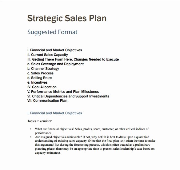 Sample Bonus Plan Document Luxury 7 Sales Plan Template Pdf Doc