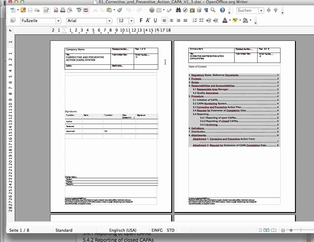 Sample Capa form Lovely Corrective Action Plan Example