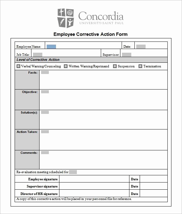 Sample Capa form Luxury Corrective Action Plan Template 15 Free Sample Example