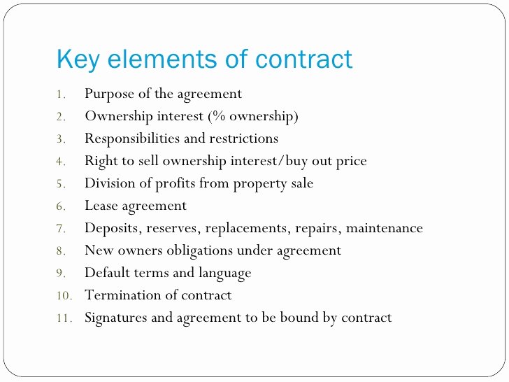 Sample Co Ownership Agreement New Co Ownership and D Equity Arrangements