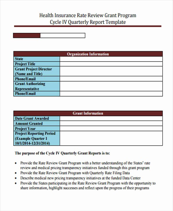 Sample Grant Report Luxury 6 Grant Report Templates Free Word Pdf format Download