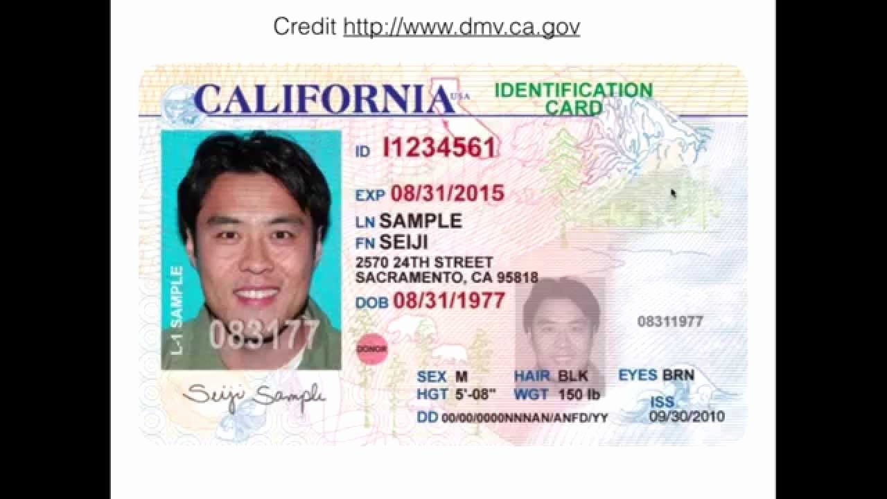 Sample Identity Card Inspirational Ca Id Card Front