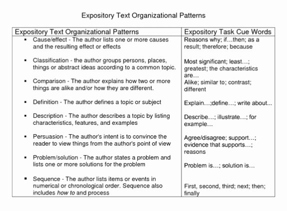 Sample Informational Essay 5th Grade Awesome 20 Best Of Capitalization Worksheet for 3rd Grade