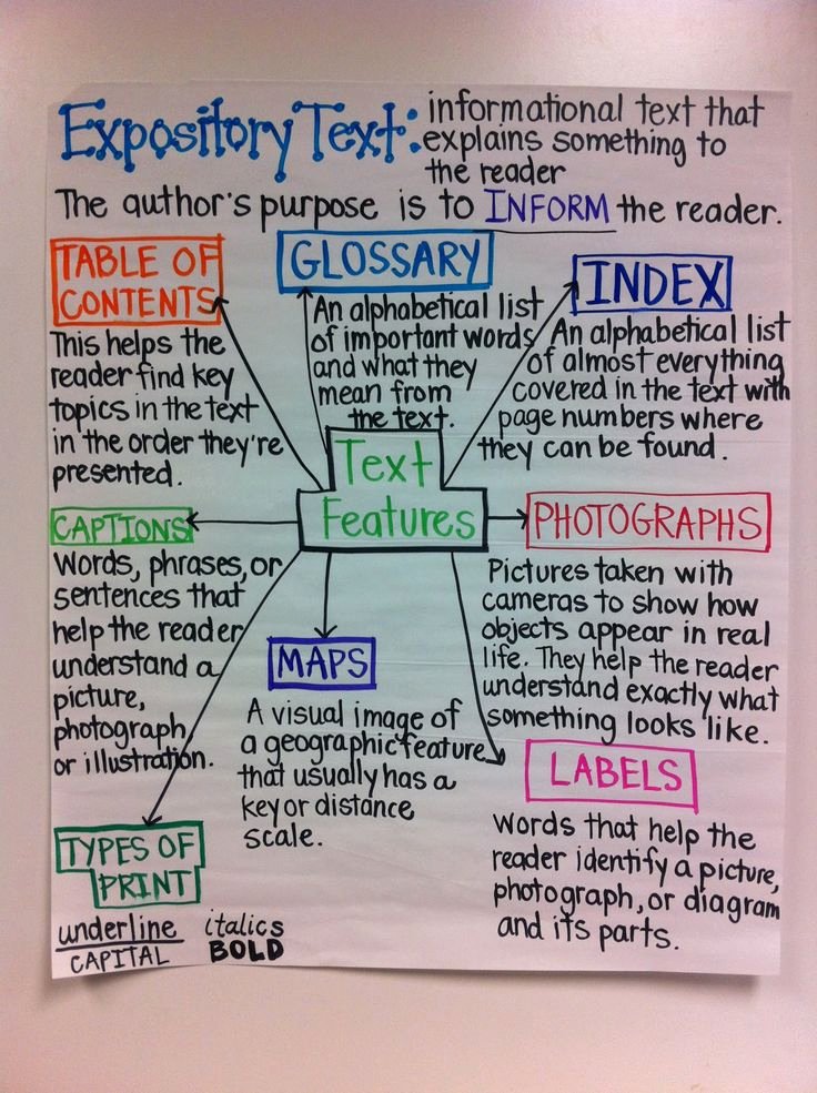 Sample Informational Essay 5th Grade Inspirational Text Features Expository Text Anchor Chart