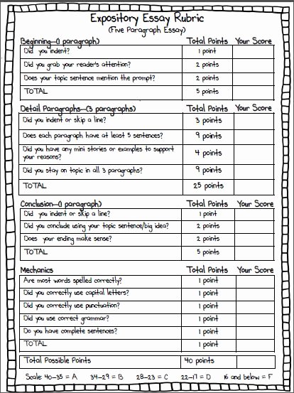 Sample Informational Essay 5th Grade New Expository Essay Example 5th Grade