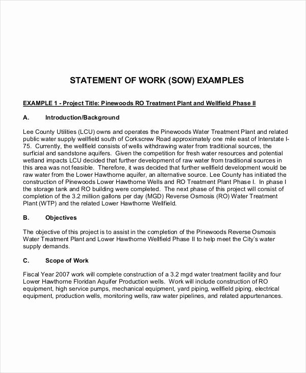 Sample Scopes Of Work Lovely 10 Work Statement Examples Word Pdf