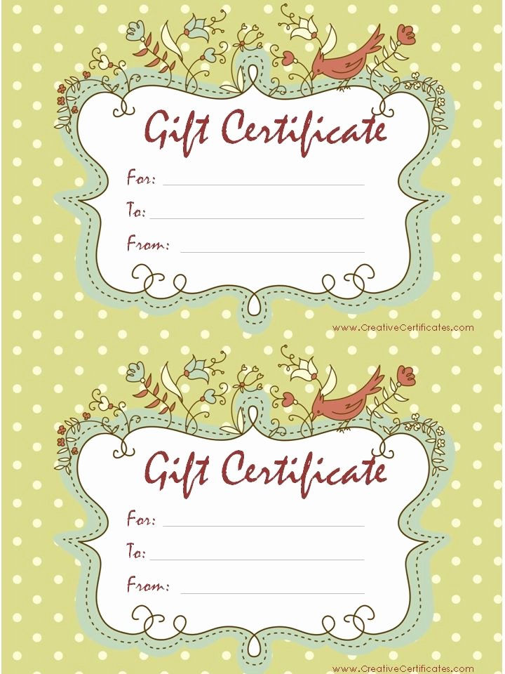 Scentsy Gift Certificate Template Awesome T Certificates Rodan Fields Pinterest