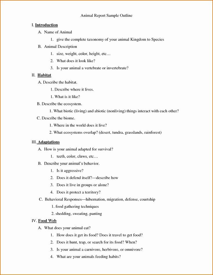 Scholarship Biography Essay Examples Elegant Best 25 Death Penalty Essay Ideas On Pinterest