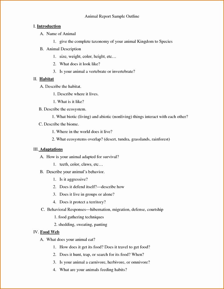 Scholarship Biography Essay Examples Elegant Best 25 Death Penalty Essay Ideas On Pinterest