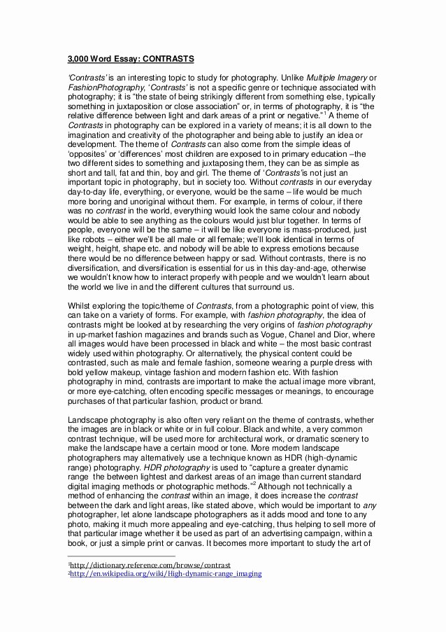 Scholarship Essay Examples 500 Words Elegant 3000 Word Essay