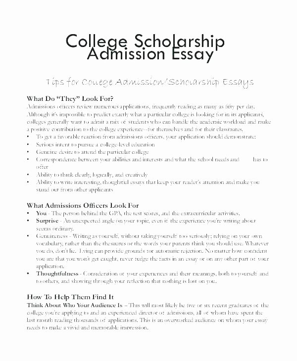 Scholarships Essays Examples About Yourself Luxury 500 Word Scholarship Essay Examples Scholarship Essay