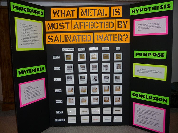 Science and Technology topics Beautiful Science Fair Board Examples