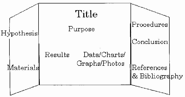 Science Fair Project Template Word New 14 Best Of Ai Word Worksheets Vowel Team