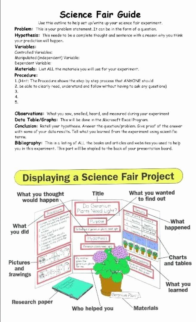 Science Fair Proposal Sheet New Science Fair Mrspierto74