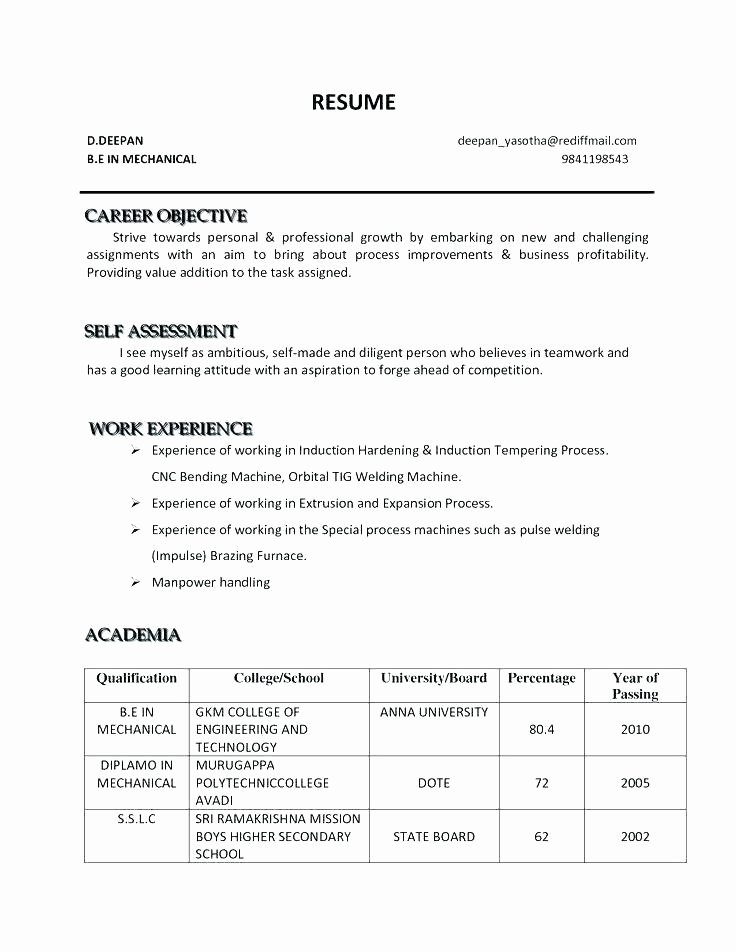 Search Engine Evaluator Resume Beautiful Digital Marketing Resume Sample Strategic Executive for