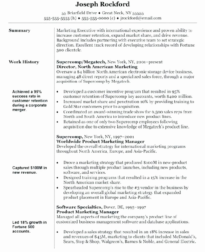 Search Engine Evaluator Resume Beautiful Digital Marketing Resume Sample Strategic Executive for