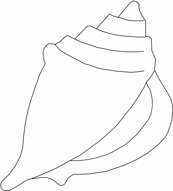 Seashell Template Printable Awesome Printable Of Sea Shells