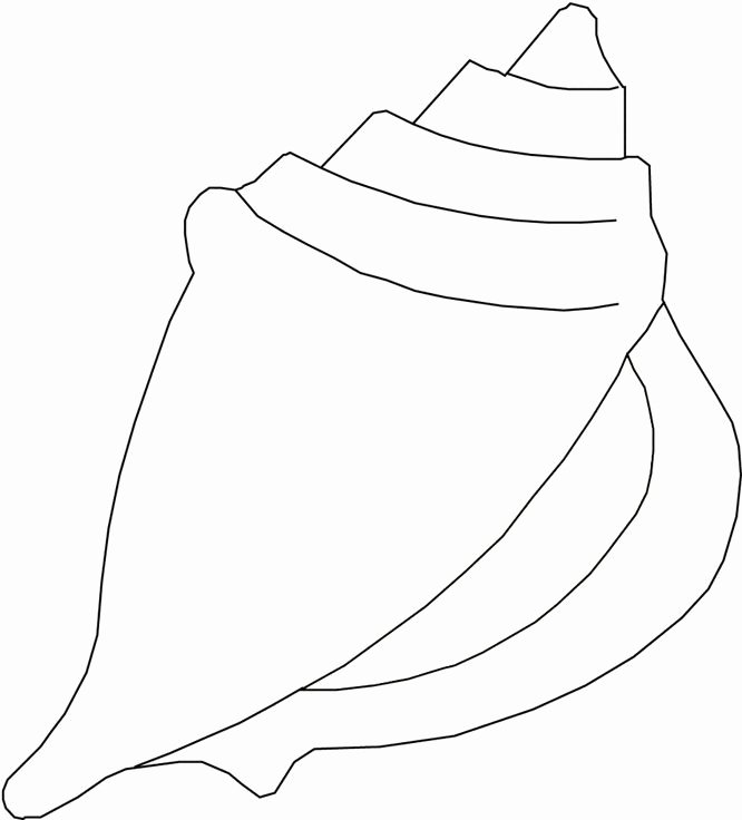 Seashell Template Printable Awesome Printable Of Sea Shells