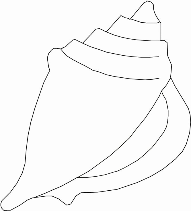 Seashell Template Printable Awesome Printable Of Sea Shells