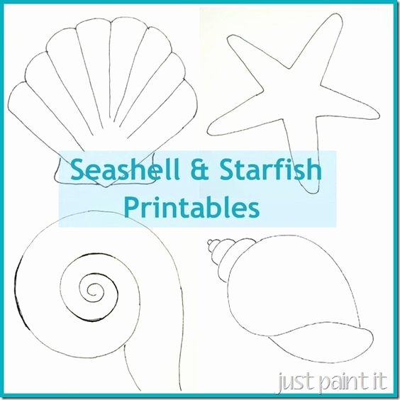 Seashell Template Printable Best Of Free Seashell and Starfish Printable Patterns for Painting