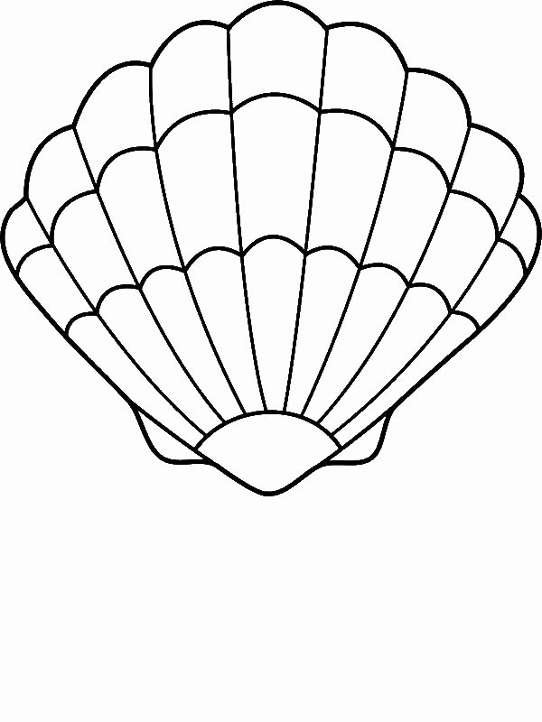 Seashell Template Printable Fresh A Lovely Zigzag Scallop Seashell Drawing Coloring Page by