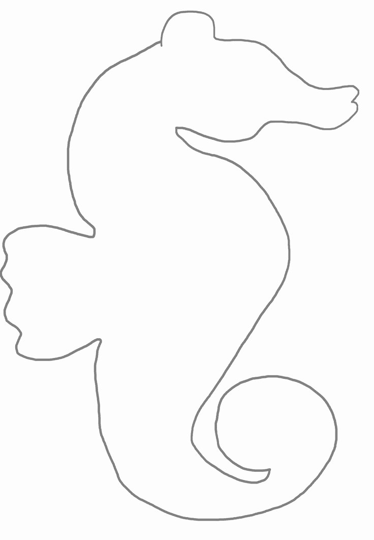 Seashell Template Printable Lovely Seahorse Outline