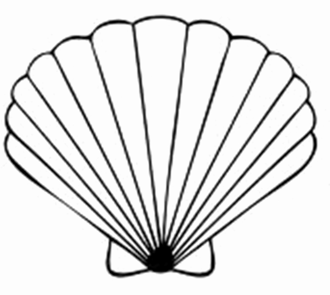 Seashell Template Printable Luxury Seashell Template Clipart Best