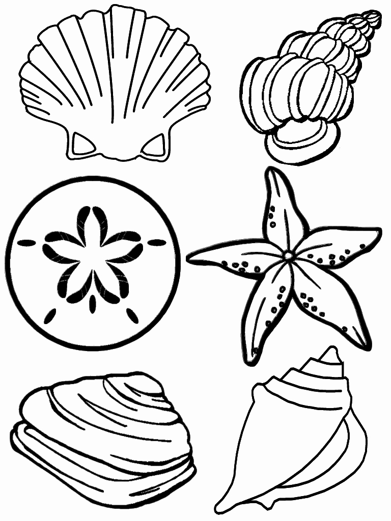 Seashell Template Printable New Free Printable Seashell Coloring Pages for Kidsbest