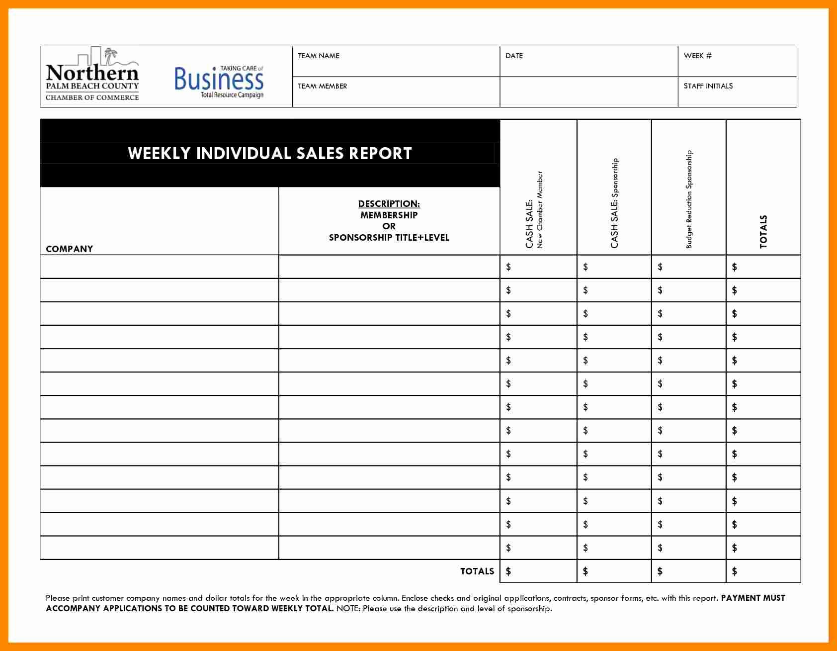 Security Officer Daily Activity Report Sample Luxury Weekly Activity Report Template Excel Free Daily Sales
