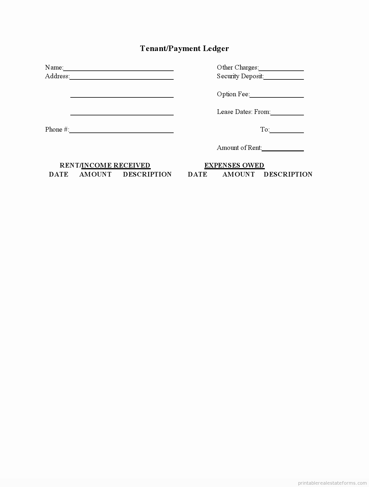 Self Employment Ledger forms New Sample Printable Tenant Payment Ledger form