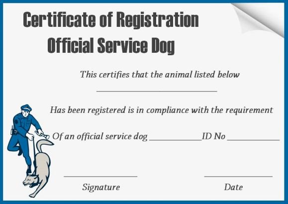 Service Dog Id Card Template Free Download Elegant Service Dog Certificate Template 10 Word Templates for