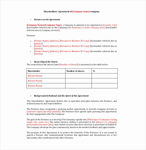 Shareholder Letter Examples Awesome 18 Holder Agreement Templates Free Word Pdf