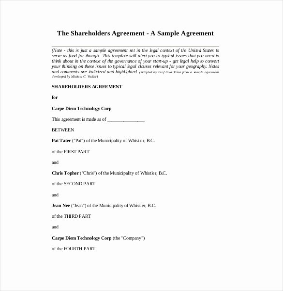 Shareholder Letter Template Best Of 18 Holder Agreement Templates Free Word Pdf