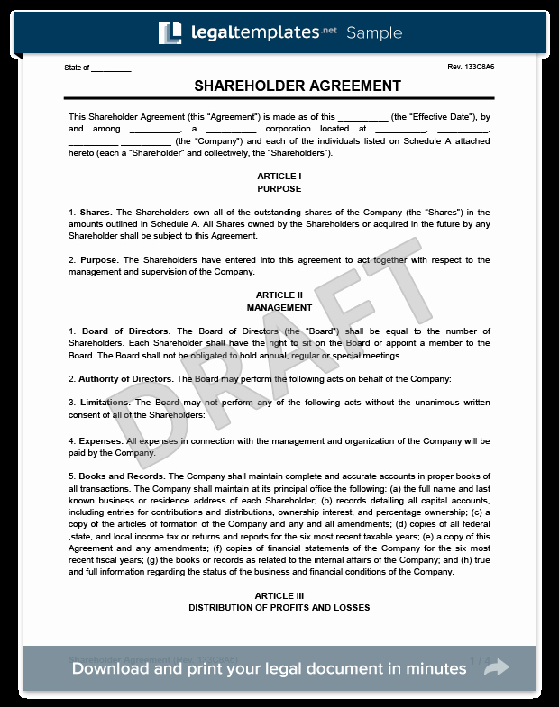 Shareholder Letter Template Luxury Holder Agreement Create A Free Holder