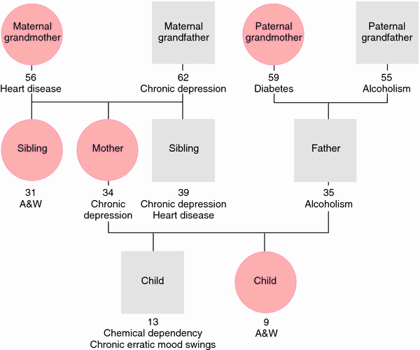 Simple Genogram Example Beautiful Genogram