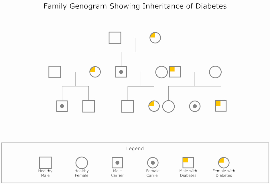 Simple Genogram Example Beautiful Genogram software Free Templates