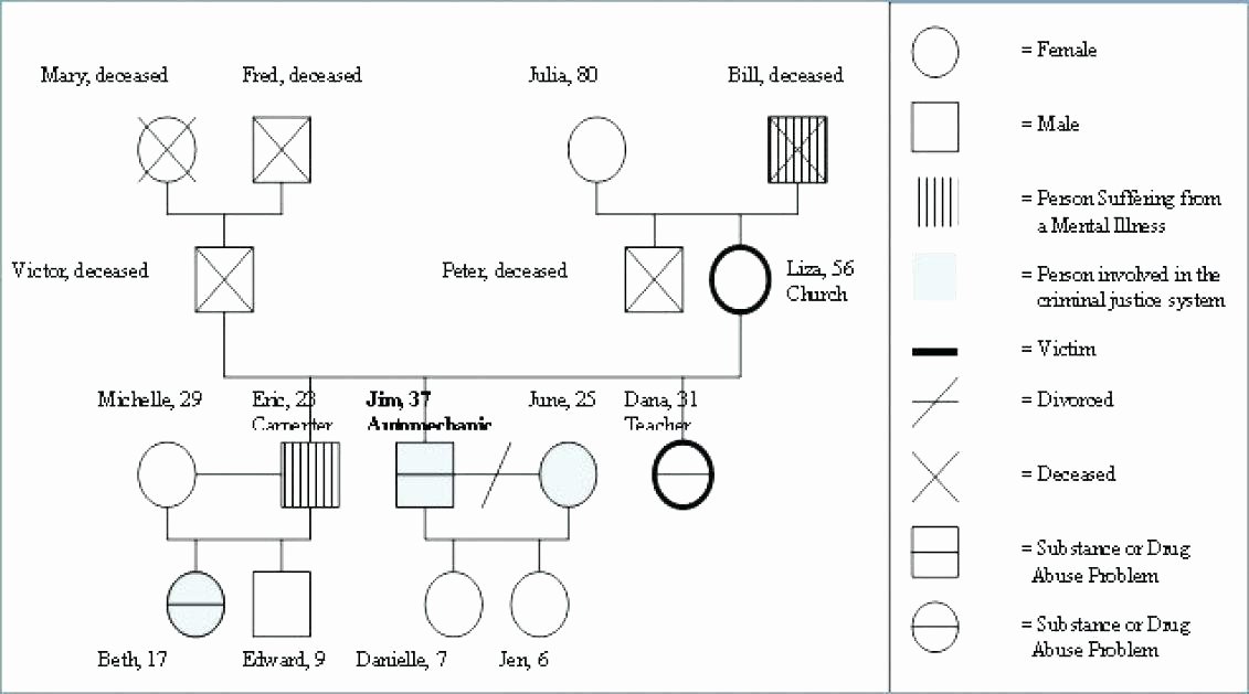 Simple Genogram Example Best Of Tracenumberr