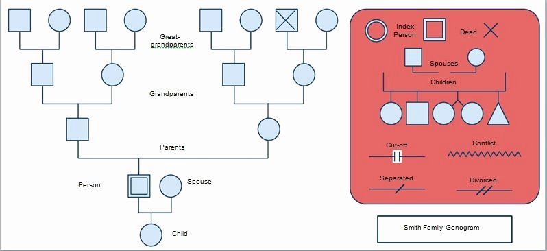 Simple Genogram Example Fresh 30 Free Genogram Templates &amp; Symbols Free Template Downloads