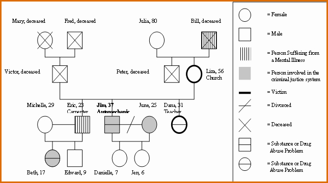 Simple Genogram Example Lovely 8 Genogram Generator