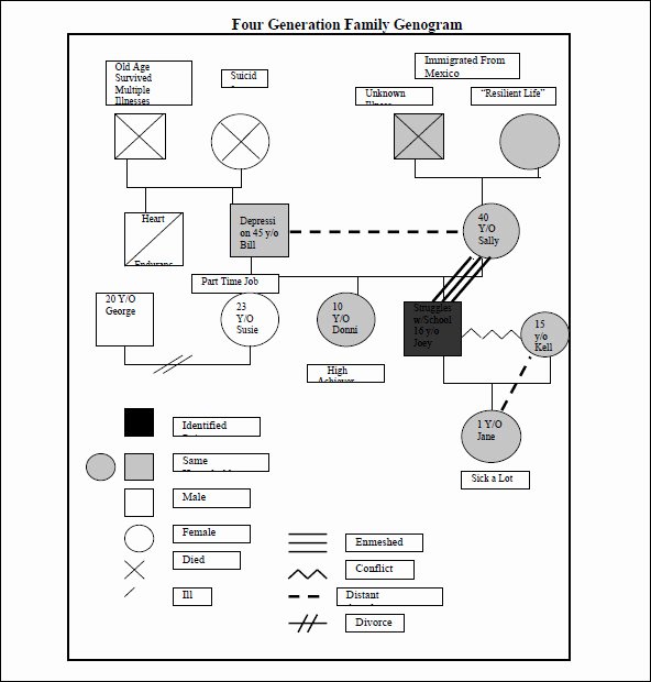 Simple Genogram Example Luxury 21 Genogram Templates Pdf Word