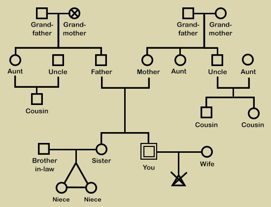 Simple Genogram Example Luxury Brenda Dougall Merriman August 2016