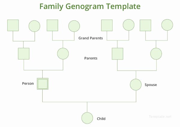Simple Genogram Example Unique 40 Genogram Templates Pdf Doc Psd