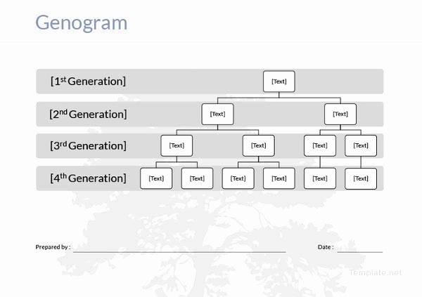 Simple Genogram Example Unique 40 Genogram Templates Pdf Doc Psd